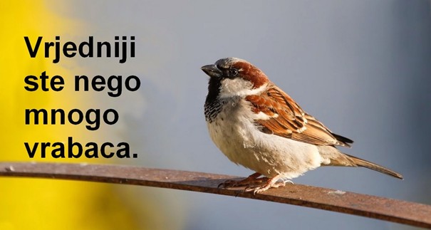 Trenutno pregledavate 12. nedjelja kroz godinu