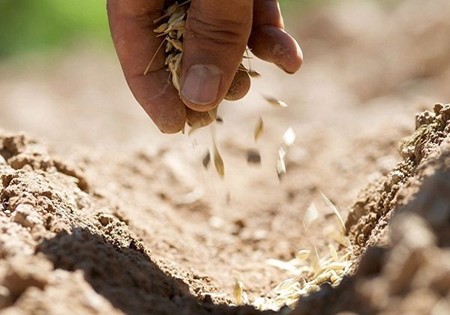 Trenutno pregledavate 16. nedjelja kroz godinu